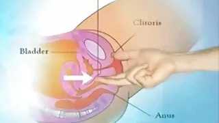 Nghịch phim sex lẻ hàn quốc ngợm Mulatka và tình dục